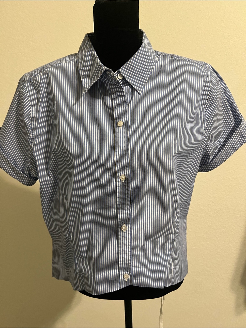 Liz Claiborne Career Women’s L Blue White Pinstripe Short Sleeve Button Down Shi